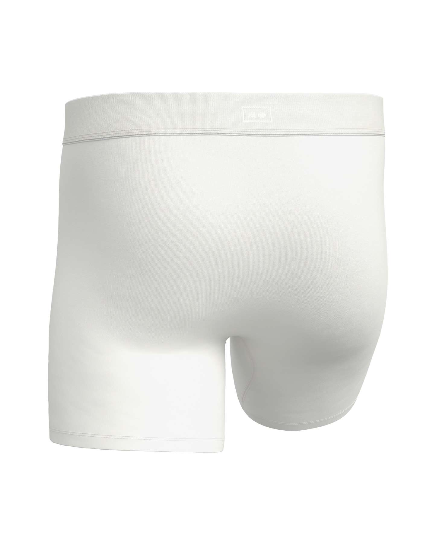 2 BOXER BRIEFS - 6" - Tonal Waistbands